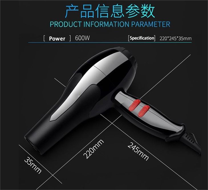 High Power Hair Dryer